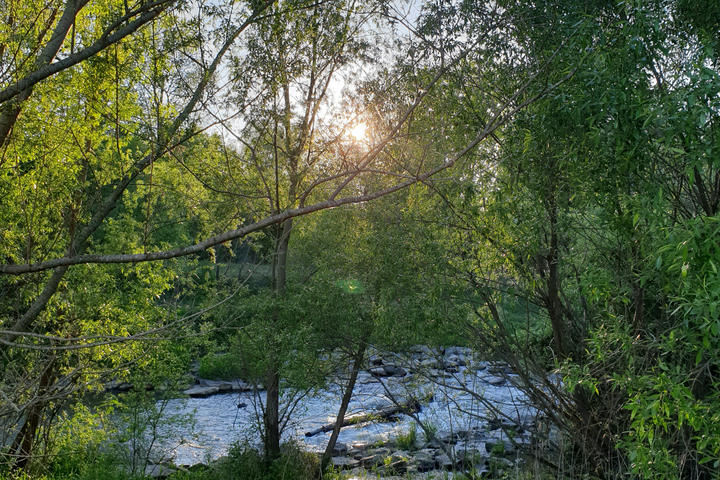 wunderschöne Landstriche in der Region Loipersdorf erkunden